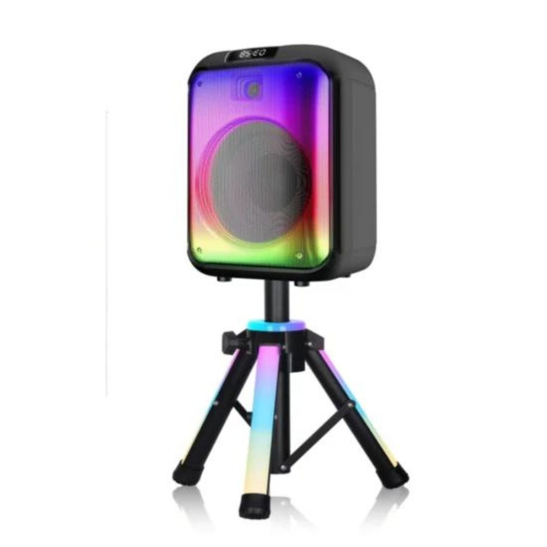 Ndr12 Inch PRO Portable Trolley Wireless Bluetooth DJ Karaoke Party Speaker with Stand